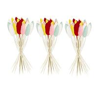 Saterkali Home Decoration Rabbit Tail Dried Flowers,1 Set Dried Flower Bouquet Romantic Easter Celebration Bunny Tail Household Products Mix Color 60pcs