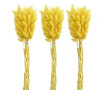 Saterkali Home Decoration Rabbit Tail Dried Flowers,1 Set Dried Flower Bouquet Romantic Easter Celebration Bunny Tail Household Products Yellow 30PCS