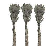 Saterkali Home Decoration Rabbit Tail Dried Flowers,1 Set Dried Flower Bouquet Romantic Easter Celebration Bunny Tail Household Products Grey 30PCS