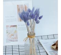 Saterkali Home Decoration Rabbit Tail Dried Flowers,1 Set Dried Flower Bouquet Romantic Easter Celebration Bunny Tail Household Products Purple 30PCS