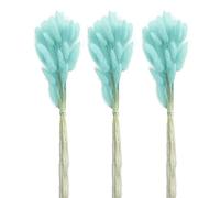 Saterkali Home Decoration Rabbit Tail Dried Flowers,1 Set Dried Flower Bouquet Romantic Easter Celebration Bunny Tail Household Products Light Blue 30PCS