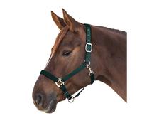 Satin headcollar for Shetland pony Waldhausen