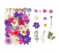 Satiskid 40pcs Dried Flowers Cake Toppers, Purple Wildflower Decor for Baby Shower, Wedding, Birthday Party Cupcake Toppers DIY Crafts Bookmarks Scrapbooking Card Making