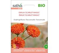 Sativa "Emilia 'Scarlet Magic'" Organic Annual - 1 Pkg