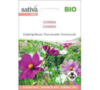 Sativa Organic Annual Flowers "Cosmea" - 1 Pkg