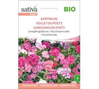 Sativa Organic Biennial Sweet William - 1 Pkg