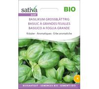 Sativa Organic Herbs "Large-leaved Basil" - 1 Pkg