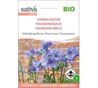 Sativa Organic Jacob's Ladder Perennial Flowers - 1 Pkg
