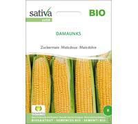 Sativa Organic Sweet Corn "Damaun KS" - 1 Pkg