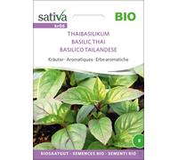 Sativa Organic Thai Basil - 1 Pkg