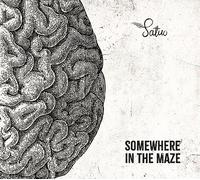 Satuo - Somewhere in the maze