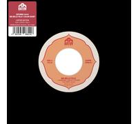 Hard-Ons - Most People Are a Waste O