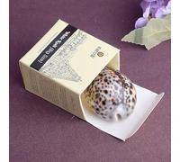 SATVIK 1 Pc Big Black Cowrie/Kodi/Black Sea Shell for Pooja | Protective & Auspicious Kowdi for Lakshmi Puja, Nazar Suraksha, and Home Decoration