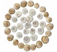Satvik 11 Pc Set of Natural Gomati Chakra | for Hindu Lakshmi Pooja Wealth Health Success Worship Puja Stones | Gomti Chakra Beads Gomathi Sea Shells Jewelry Making Home Mandir Diwali Pooja Items