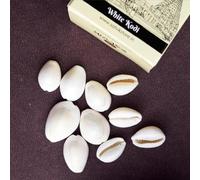 SATVIK 11 Pc Set - White Kodi/Kauri for Pooja - Authentic Cowrie Shells for Puja, Rituals & Home Decor | Sacred Kodi for Worship & Spiritual Use