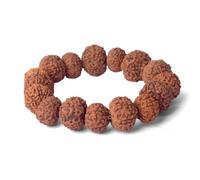 SATVIK 7 Mukhi Rudraksha Bracelet - Original Saat Mukhi Rudraksha Beads for Wealth & Wellness | Energized Spiritual Bracelet for Men & Women