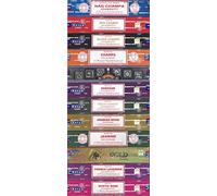 Satya Bangalore (BNG) Set of 12 Nag Champa, Red Champa, Black Champa, Champa, Super Hit, Darshan, Neem Forest, Arabian Musk, Jasmine, Gold, French Lavender, Mystic Rose Incense Sticks