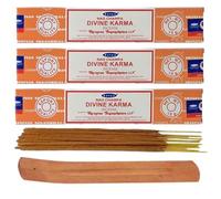 Satya Divine Karma Nag Champa Incense Sticks Pack of 3 X 15G with Free Holder Agarbatti for Home, Outdoor, Aromatherapy, Spa, Yoga, Meditation, Healinger