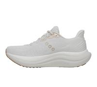 Saucony Men's Triumph 23 Sneaker, Vapor/Arctic, 5.5