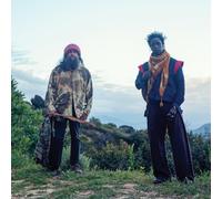 SAUL WILLIAMS, CARLOS NINO & FRIENDS AT TREEPEOPLE [VINYL]