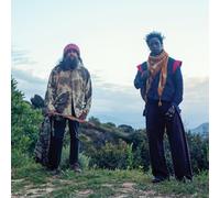 SAUL WILLIAMS, CARLOS NINO & FRIENDS - SAUL WILLIAMS, CARLOS NINO & FRIENDS AT TREEPEOPLE