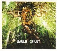 Saule - Geant -Digi-