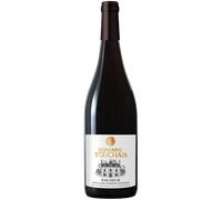 Saumur Rouge 2024 - Domaine Touchais