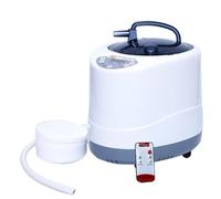 Sauna Steamer Pot, 4L Portable Sauna Generator for Home SPA, Body Therapy Steamer with Timer Display, Fumigation Steam Machine