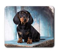 Sausage Dog Dachshund Puppy Mouse Mat Pad Computer PC Laptop Gaming Office Home Desk Accessory Gadget 16342