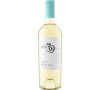 Sauvignon Blanc 2023 - Line 39