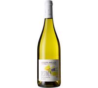Sauvignon Blanc - Destinea 2025 - Joseph Mellot