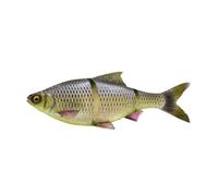 Savage Gear 3D Line Thru Roach 32cm Limited Edition Lure - Sink Hugo 445g