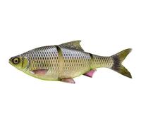 Savage Gear 3d Line Thru Roach (Hugo, 32cm/420g slow sinking)