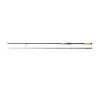 Savage Gear Revenge SG6 Fast Shad Rod 9' 20-70g / Spinning Rod