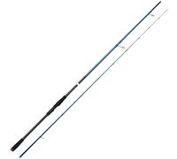 Savage Gear SGS2 Long Casting 9'6" 15-50g Medium Heavy