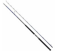 Savage Gear Sgs6 Shore Jigging Rod Silver 3.05 m / 70-180 g