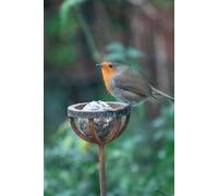 Savage Works Fat Ball Bird Feeder Stake