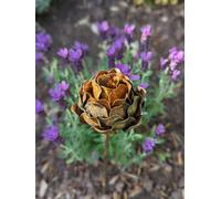Savage Works Metal Peony Flower Stake Garden Ornament