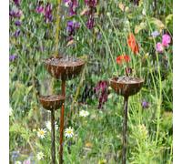 Savage Works Rain Catcher | Plant Support | Rusts with Rain. - Large 100mm