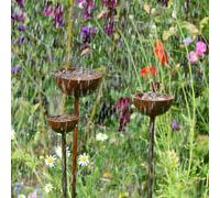 Savage Works Rain Catcher | Plant Support | Rusts with Rain. - XL 120mm