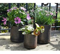 Savage Works Rusty Plant Pots - Garden Planters - Large Trio L XL XXL