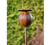 Savageworksuk Rusty Metal Poppy Seedhead Garden Ornament - 1M Height, 60mm Head
