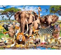 Savanna Animals