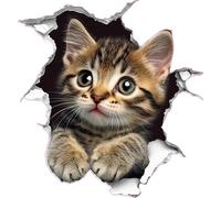 Savannah Brown Cat Kitten Vinyl Decal Stickers, Cover Marks, 20cm 7cm Wall