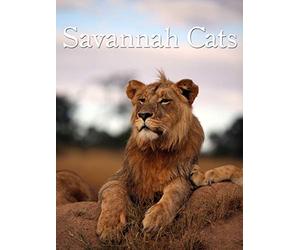 Savannah Cats