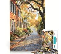 Savannah Historic District Georgia Painting Art Jigsaw Puzzle 1000 Piece for Adults Smart Reason Toy Home Pastime Smooth Edge Art Collectible (50x75cm)