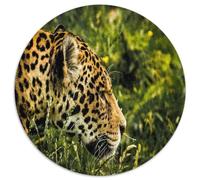 Savannah Leopard 1000 Piece Jigsaw Puzzle Round Paper Puzzle for Adults Wild Nature Scene