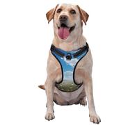 Savannah Medium Printed pet Traction Vest - Suitable for Dog Walking, Hiking and Outdoor Adventures,