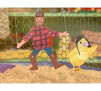 Save Little Red Riding Hood!/Save the Turtle!