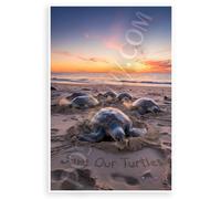 Save Our Turtles Sea Turtles Nesting Beach Dawn Environmental 12x18 US Made Poster